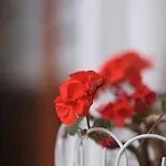 Otel Tekhan Alacati