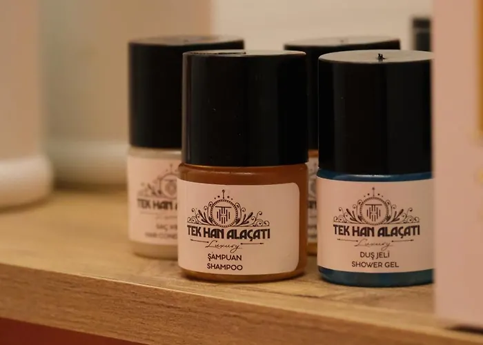 酒店 Tekhan Alacati *