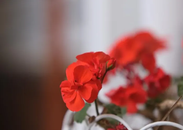 Hotel Tekhan Alacati